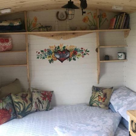 Hotel Clydesdale Shepherds Hut Belfast Exterior foto
